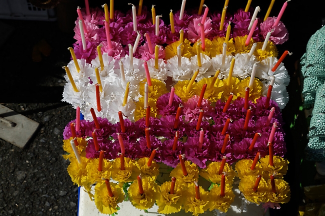 Talin chan-NOV13-008